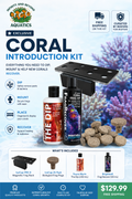 Infinity Coral Introduction Kit | Dip, Frag Rack & Coral Recovery Bundle