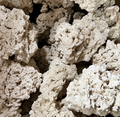 Representative large 7-inch-plus MarcoRocks Reef Saver; cleaned supplier reference