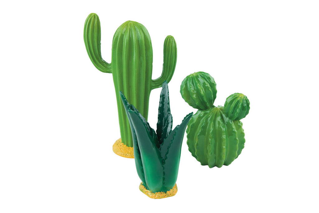 Infinity Desert Oasis Aquarium Decor Bundle Featuring Fins First Decor