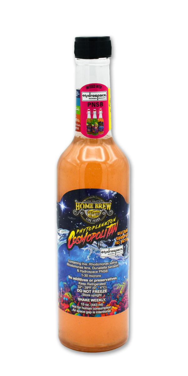 Home Brew Cosmopolitan live phytoplankton 15 oz bottle