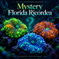 Mystery 5-Pack Florida Ricordea Mushroom Corals – ¾" to 1"+ — IBA illustrative artwork; selection varies
