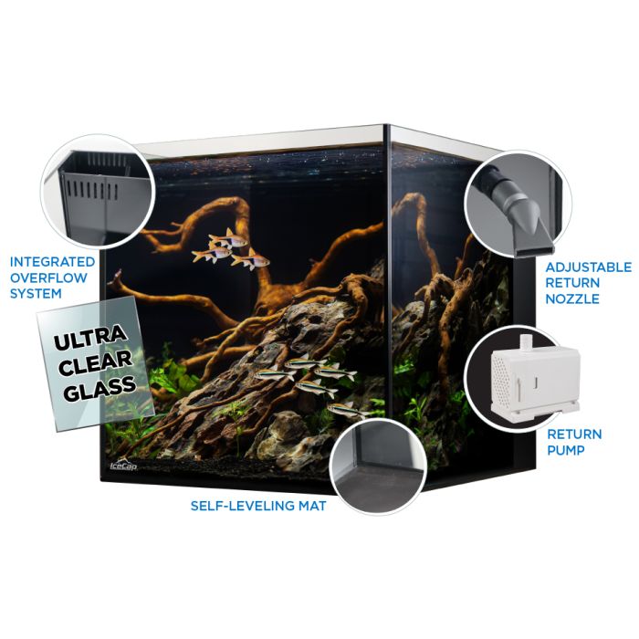 IceCap 10 Gallon Cube AIO Rimless Glass Aquarium