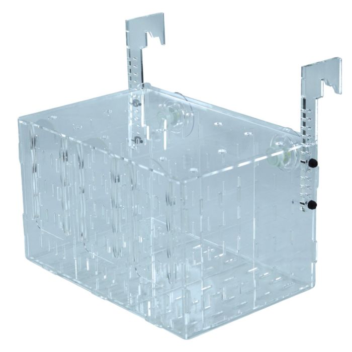 IceCap In Tank Fish Isolation Box Acclimation & Breeding Chamber