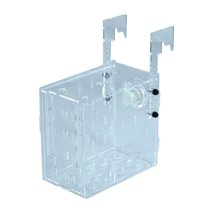 IceCap In Tank Fish Isolation Box Acclimation & Breeding Chamber
