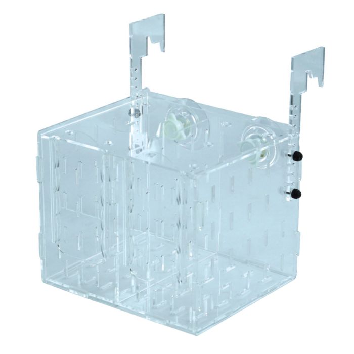 IceCap In Tank Fish Isolation Box Acclimation & Breeding Chamber