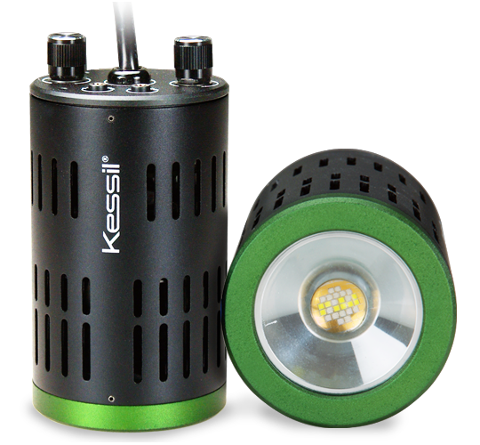 Kessil a160 sun manufacturer product view