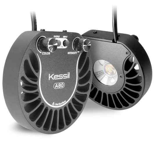 Kessil a80 blue manufacturer product view