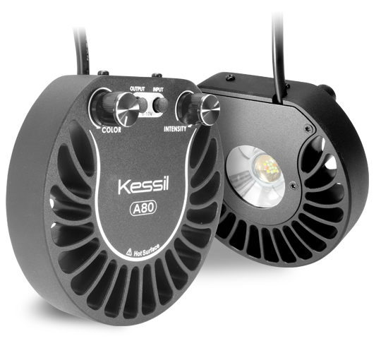 Kessil a80 sun manufacturer product view