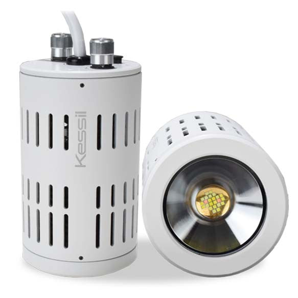 White Kessil A160WE Tuna Sun freshwater special edition light package