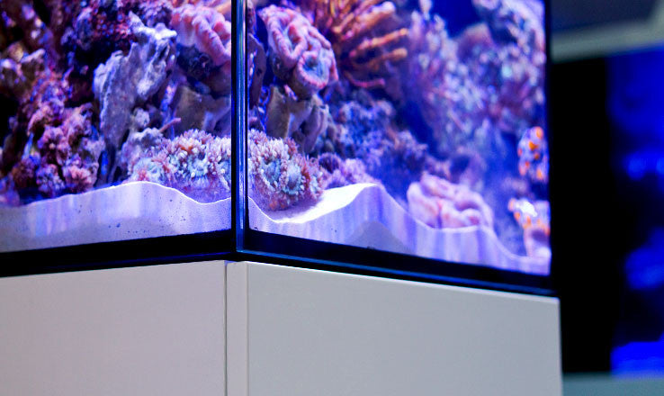 Red Sea MAX NANO G2 XL 33 Gallon Complete Reef Aquarium with Black Cabinet