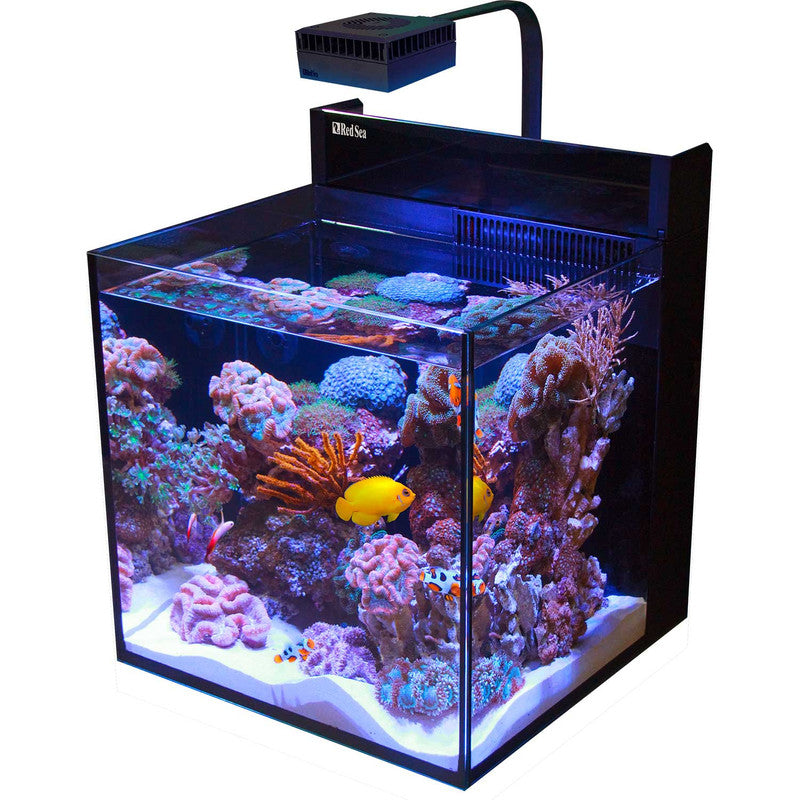 Red Sea MAX NANO G2 XL 33 Gallon Complete Reef Aquarium with Black Cabinet