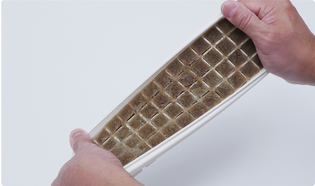 Maxspect Frozen Food Mold