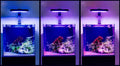 Maxspect JUMP MJ-L230R LED Refugium Light