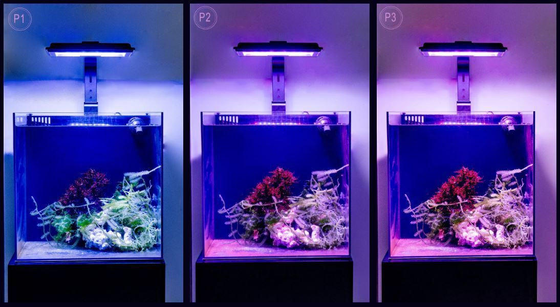 Maxspect JUMP MJ-L230R LED Refugium Light