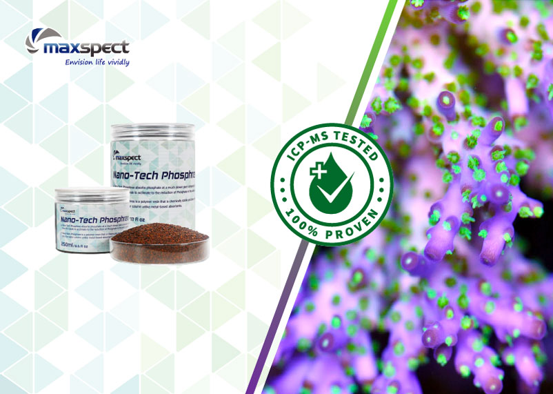 Maxspect Nano-Tech Phosphree