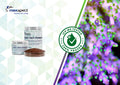 Maxspect Nano-Tech Phosphree