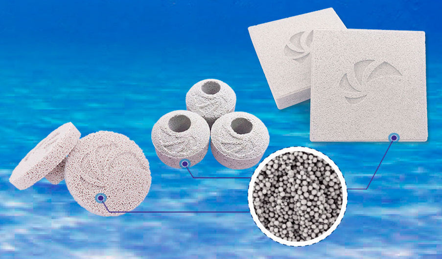 Maxspect Nano-Tech Bio-Plug Coral Frag Plugs — manufacturer product detail