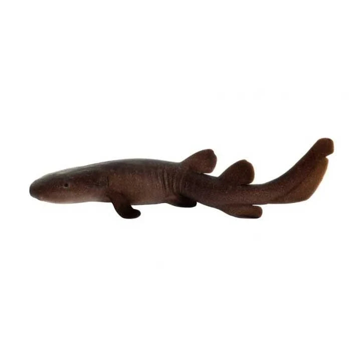 ORA captive-bred Short Tail Nurse Shark; representative photo