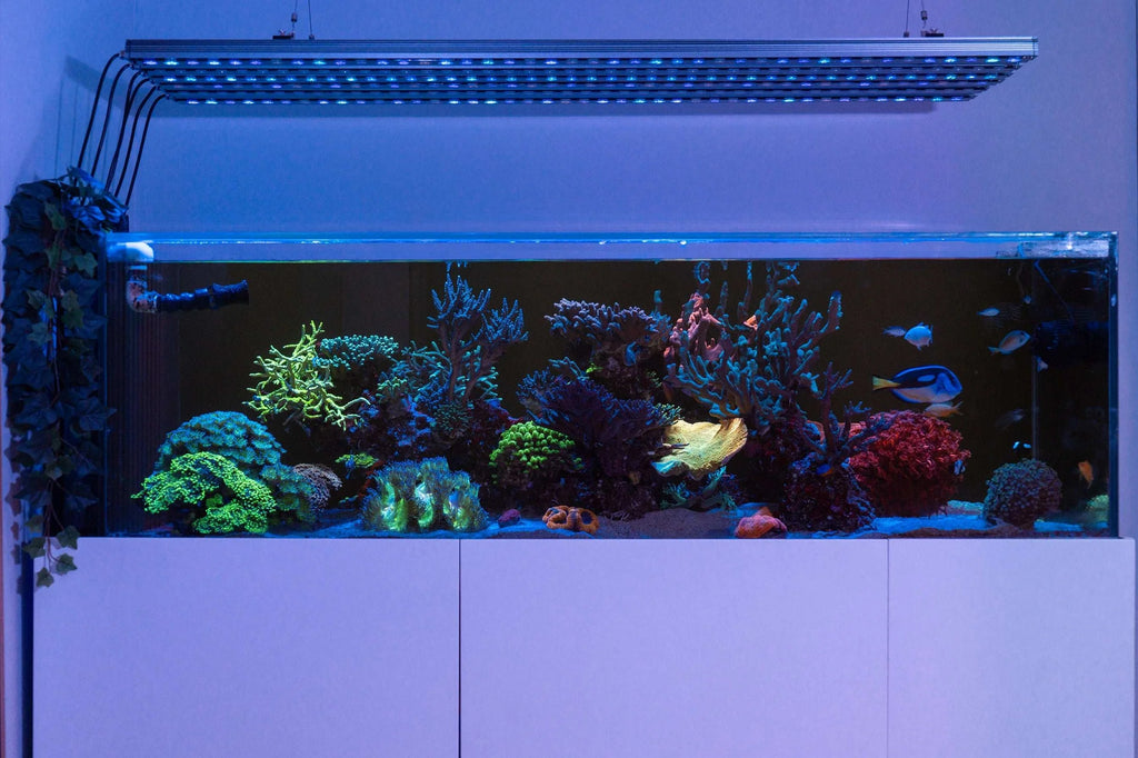 Orphek OR4 iCon UV/Violet Reef Aquarium LED Bar