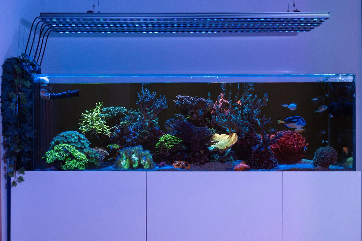 Orphek OR4 iCon UV/Violet Reef Aquarium LED Bar