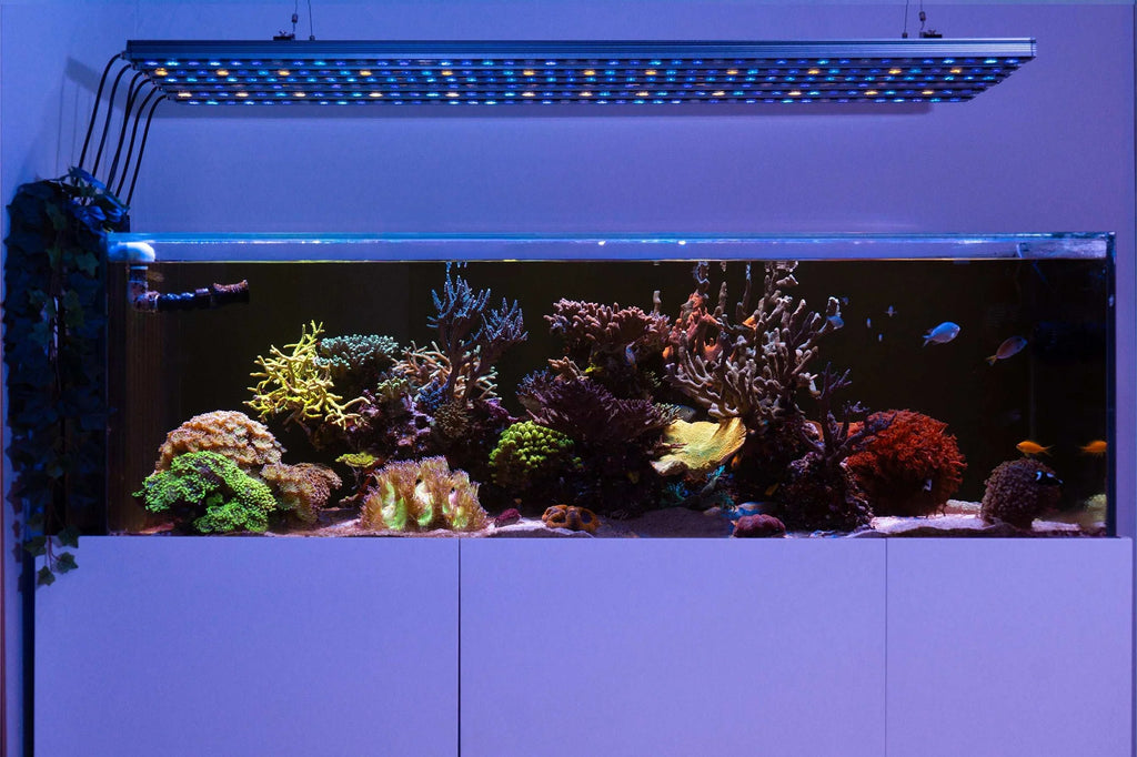 Orphek OR4 iCon Blue Sky Reef Aquarium LED Bar