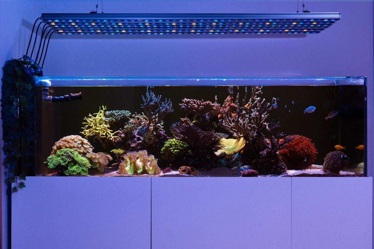 Orphek OR4 iCon Blue Sky Reef Aquarium LED Bar
