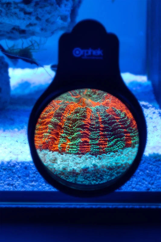 Orphek Omini 77mm Magnetic Lens Kit for Aquarium Viewing & Photography