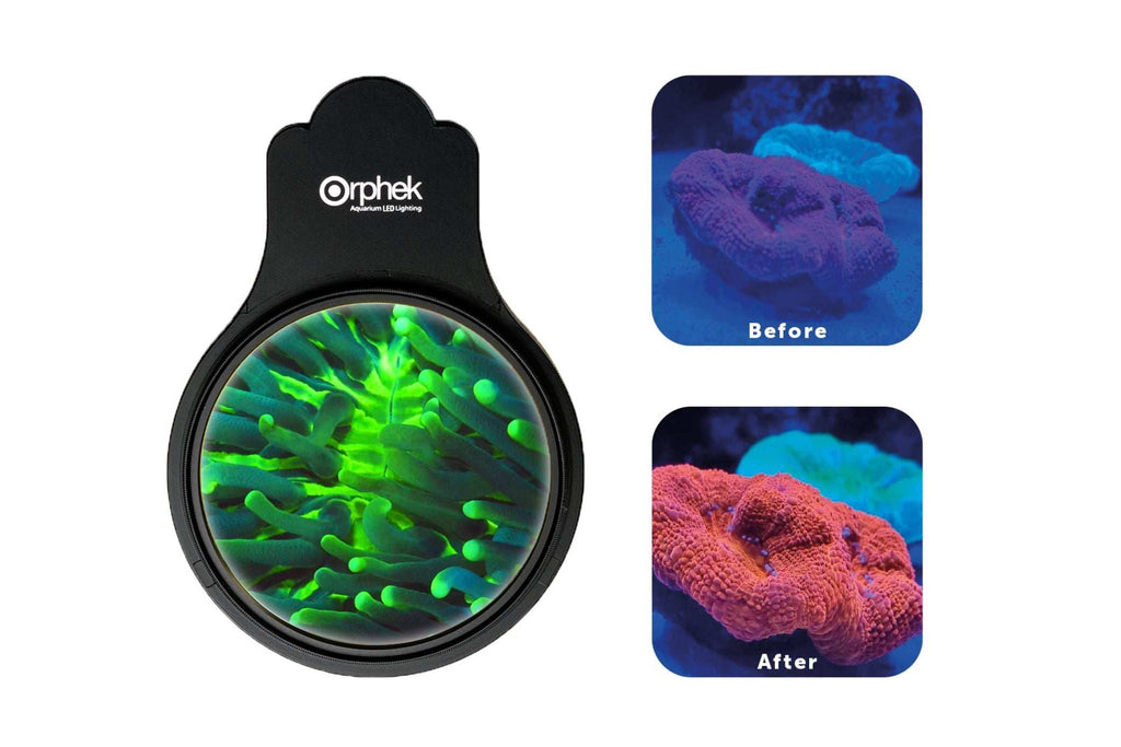 Orphek Omini 77mm Magnetic Lens Kit for Aquarium Viewing & Photography product photo