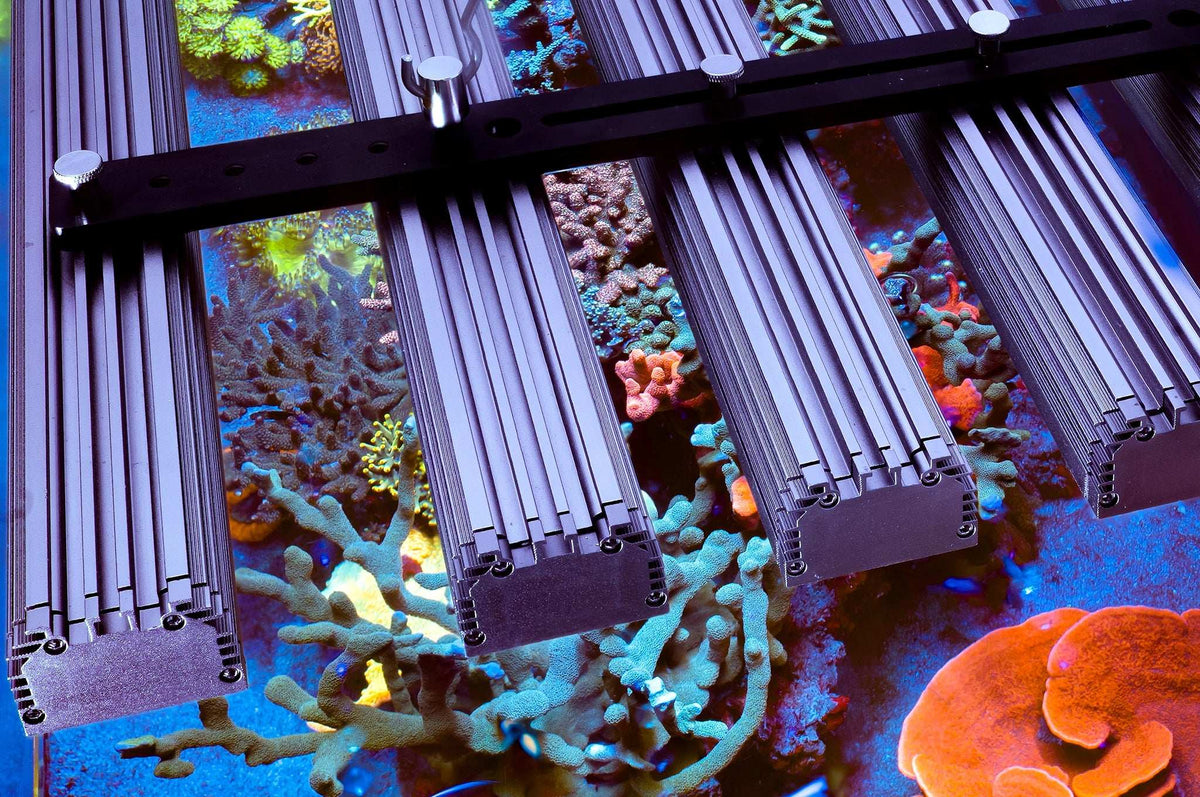 Orphek OR4 iCon Reef Day Plus Full-Spectrum Reef Aquarium LED Bar