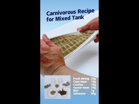 Maxspect frozen food mold mixed-tank recipe — official Maxspect video