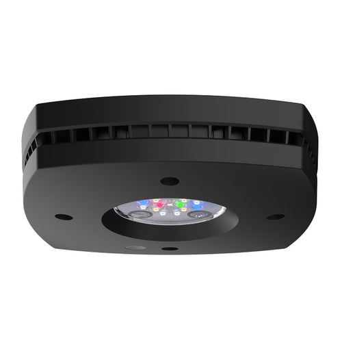 AquaIllumination Prime 16HD Freshwater Smart LED Light