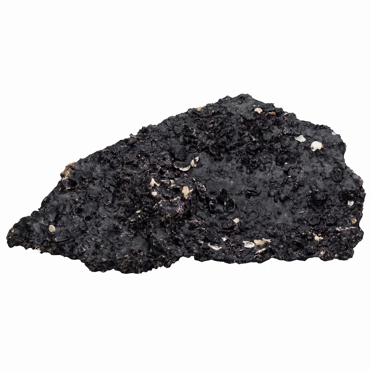 Real Reef Mini Shelf Rock in Midnight Black