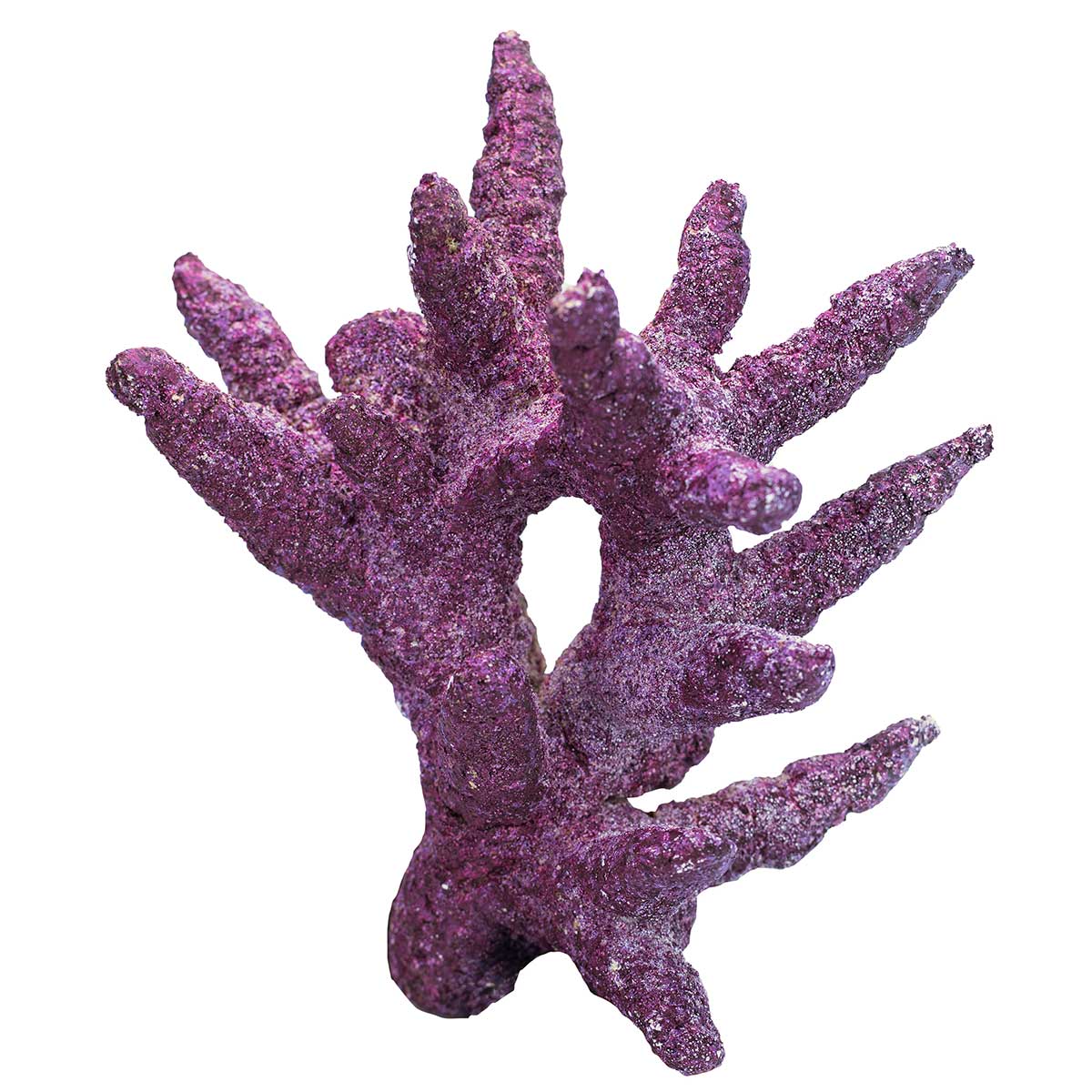 Representative Real Reef Nano Reef Box rock detail; assortment varies