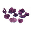 Real Reef Nano Reef Box representative assortment