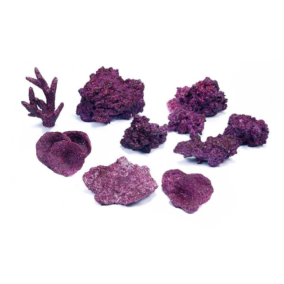 Real Reef Nano Reef Box representative assortment