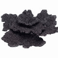 Real Reef Turbinaria Cup Plate Rock in Midnight Black