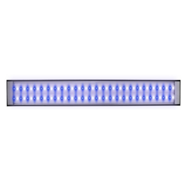 Reef Brite Lumi Lite PRO Ultra Actinic LED strip light illuminated blue and violet channels