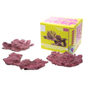 Real Reef Shelf Rock  Flat Coral Placement Rock for Reef Aquariums (Multiple Sizes Available)