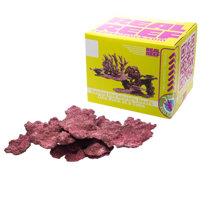 Real Reef Shelf Rock  Flat Coral Placement Rock for Reef Aquariums (Multiple Sizes Available)
