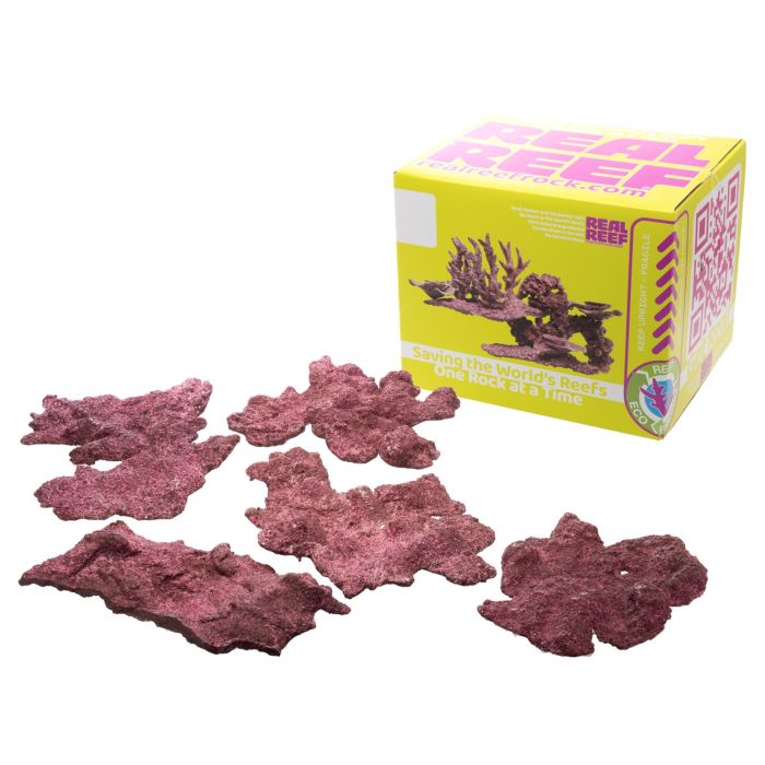 Real Reef Shelf Rock  Flat Coral Placement Rock for Reef Aquariums (Multiple Sizes Available)
