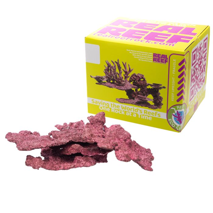 Real Reef Shelf Rock  Flat Coral Placement Rock for Reef Aquariums (Multiple Sizes Available)