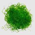 PodDrop Refugium Chaetomorpha linum