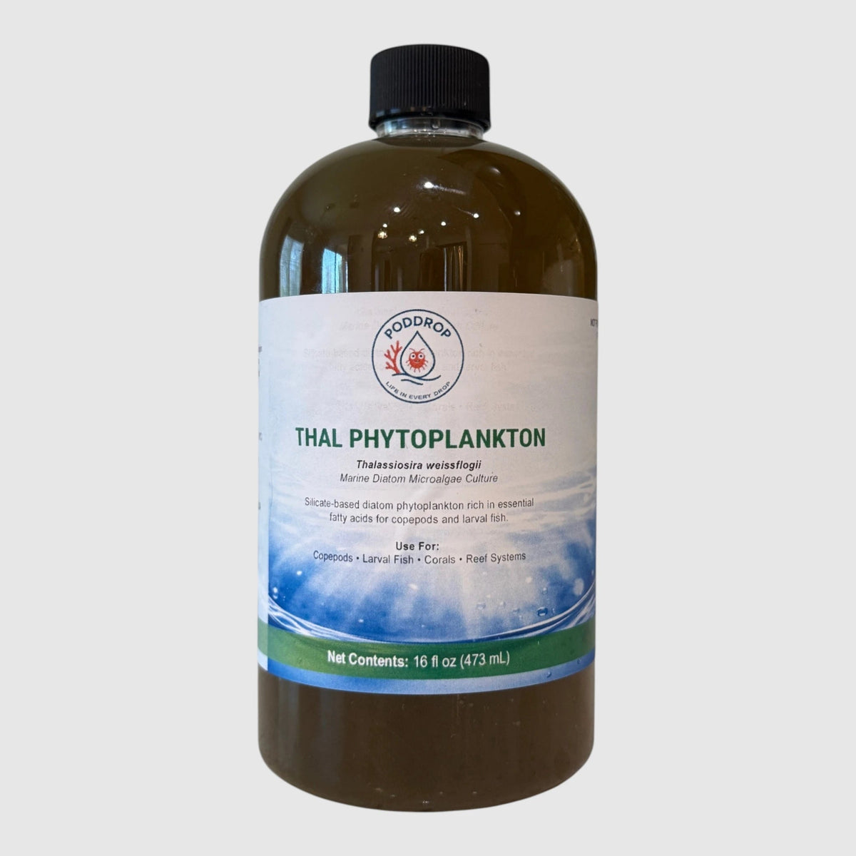 PodDrop Thalassiosira weissflogii Phytoplankton Culture