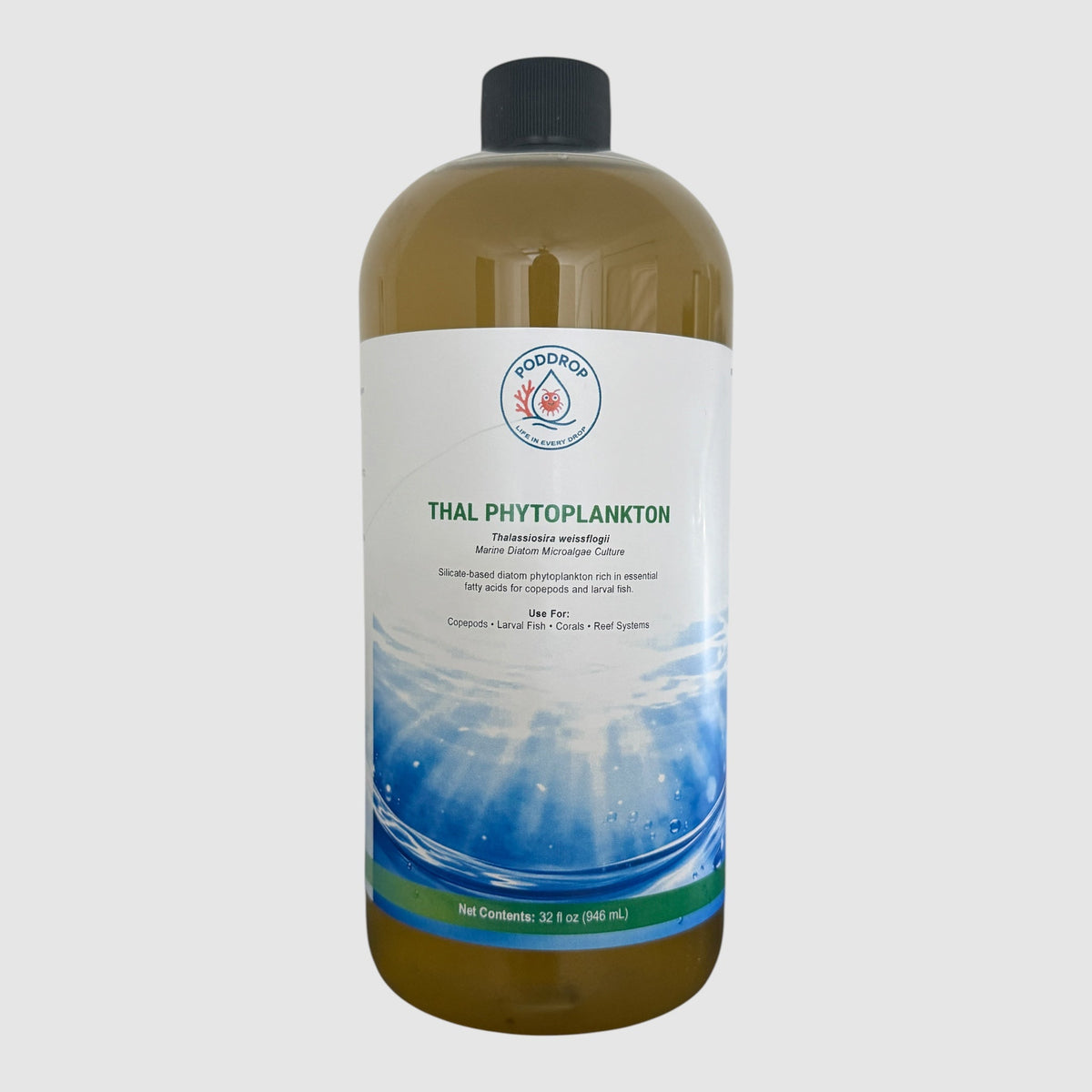 PodDrop Thalassiosira weissflogii Phytoplankton Culture