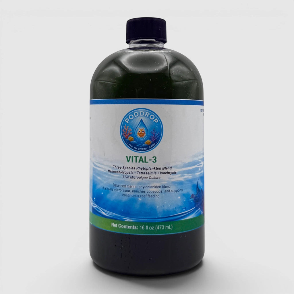 PodDrop VITAL-3 | 3-species Phytoplankton Culture Blend