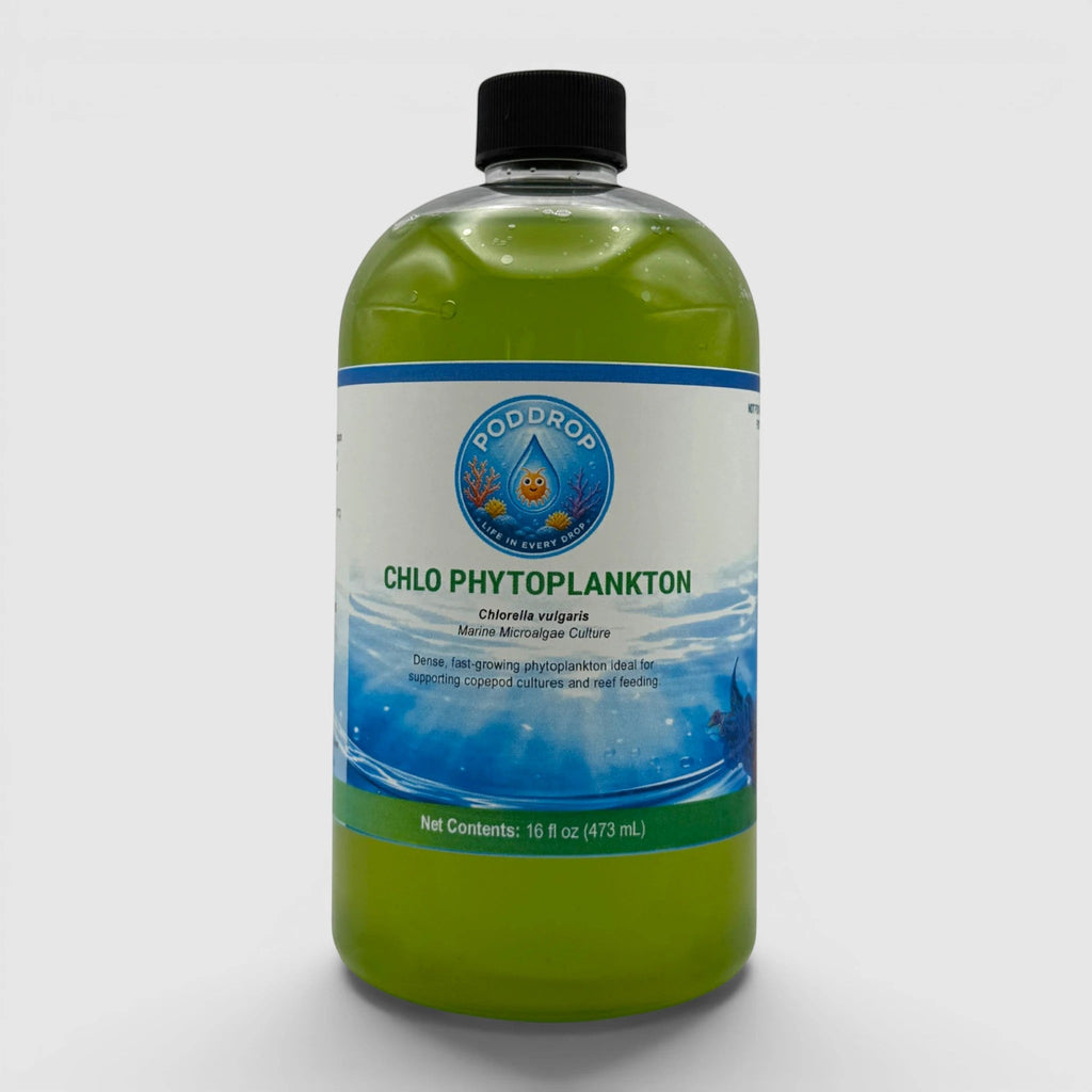 PodDrop Chlorella vulgaris Phytoplankton Culture
