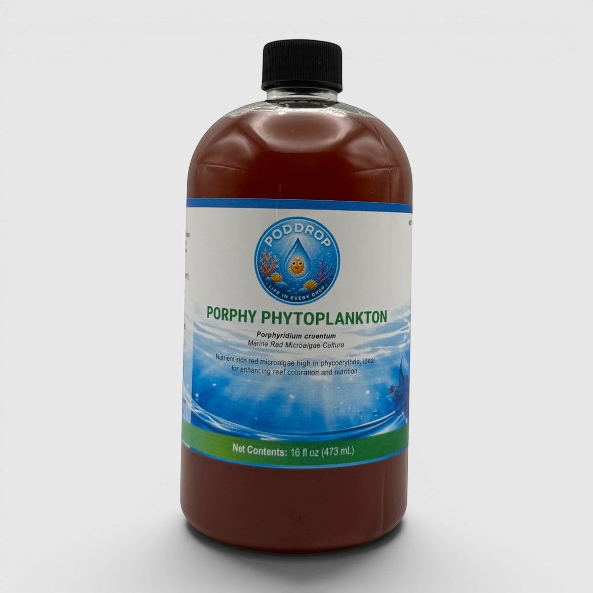 PodDrop Porphyridium cruentum Phytoplankton Culture