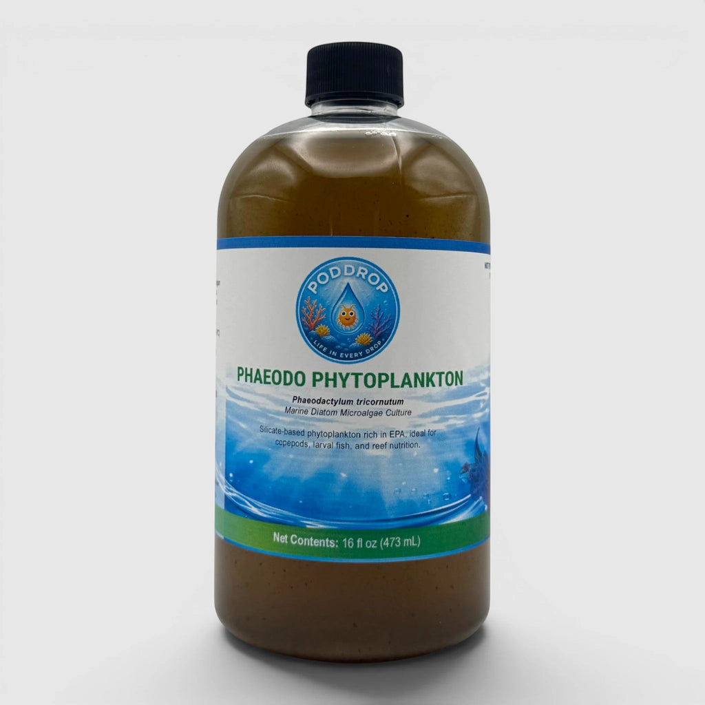 PodDrop Phaeodactylum tricornutum Phytoplankton Culture - UTEX LB 642