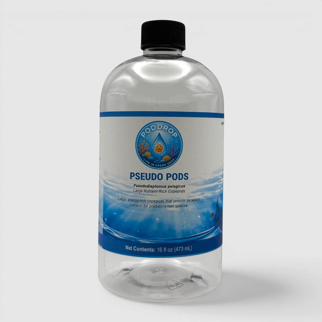 PodDrop Pseudodiaptomus pelagicus Copepods
