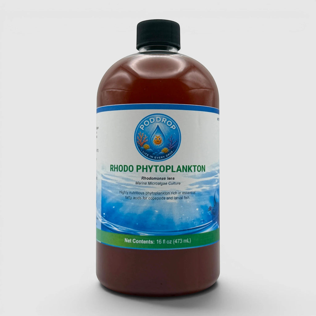 PodDrop Rhodomonas lens Phytoplankton Culture
